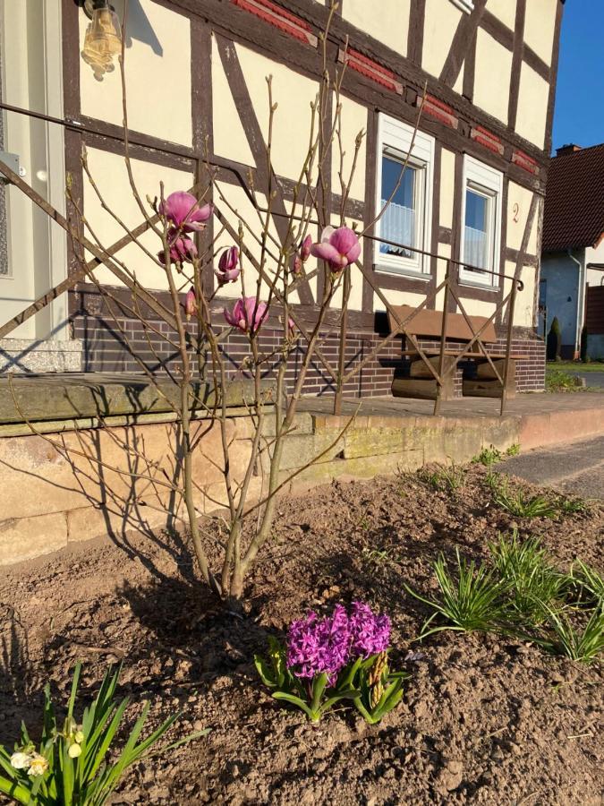 Pferdefairstand'S Ferienwohnung Haunetal Bagian luar foto